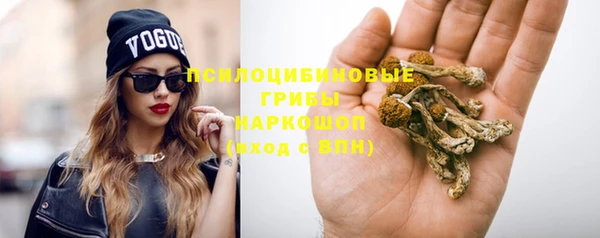 ешки Верхний Тагил