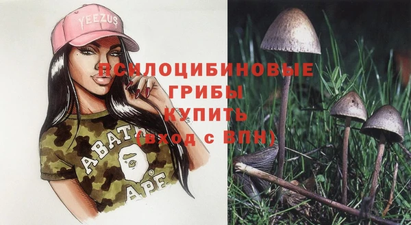 спайс Верея