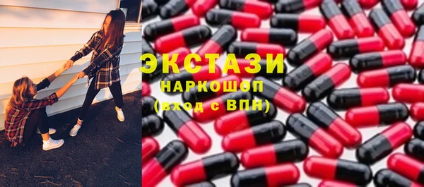 индика Волоколамск