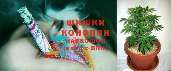 спайс Верея