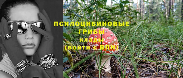 спайс Верея