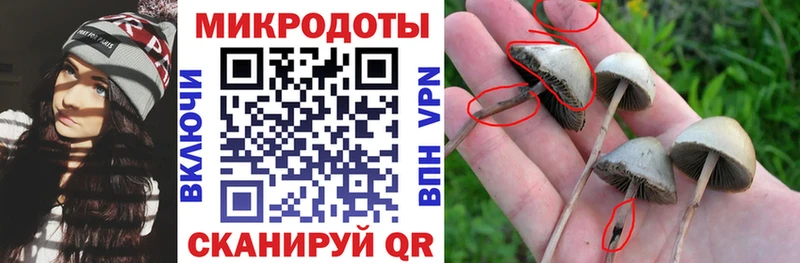 Купить закладки  Когалым  Псилоцибиновые грибы Magic Shrooms 